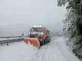 Appennino Reggiano Oggi: Meteo, Eventi, Viabilità e Notizie