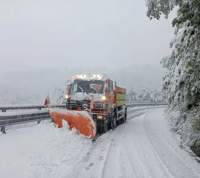 Appennino Reggiano Oggi: Meteo, Eventi, Viabilità e Notizie